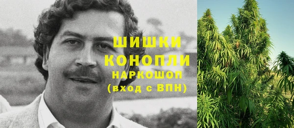 молекула духа Аркадак