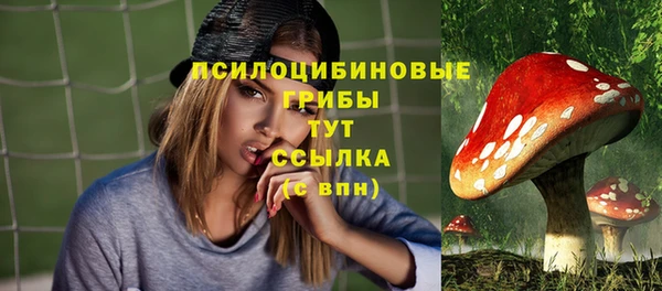 молекула духа Аркадак