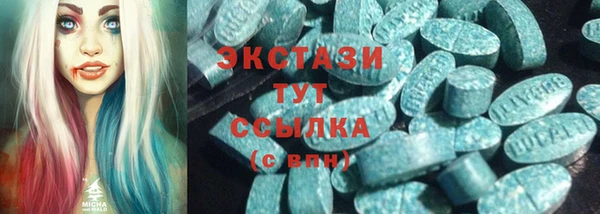 гидра Арсеньев