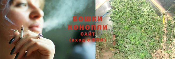 молекула духа Аркадак