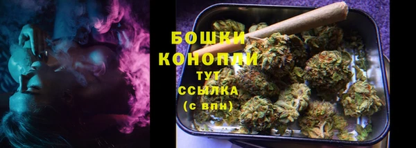 гидра Арсеньев