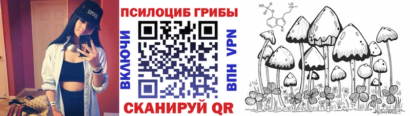 Псилоцибиновые грибы прущие грибы Онега